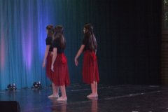 DSCF4524